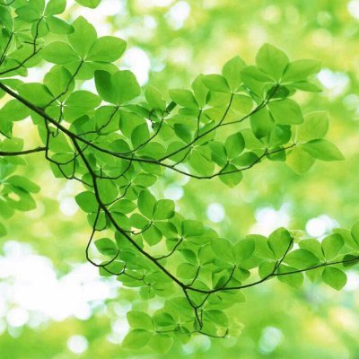 TrumanBryan8's profile picture. I am so lucky to meet you, you are the luck I want to keep.