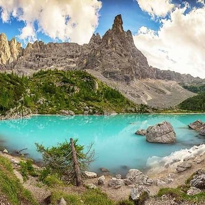 AlfredHofmann1's profile picture. 