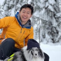 henry (@liuhenry) 's Twitter Profile