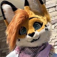 Kay ฦ: ๐ FWA, AC (@servalkay) 's Twitter Profile