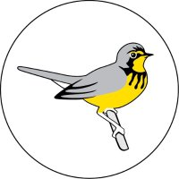 Birds Canada - Ontario Region (@birdscanada_on) 's Twitter Profile Photo Birds Canada - Ontario Region (@birdscanada_on) 's Twitter Profile Photo