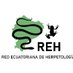 Red Ecuatoriana de Herpetología (REH) (@redherp_ec) Twitter profile photo Red Ecuatoriana de Herpetología (REH) (@redherp_ec) Twitter profile photo