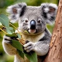 Uykususkoalaa (@blackseae) Twitter profile photo