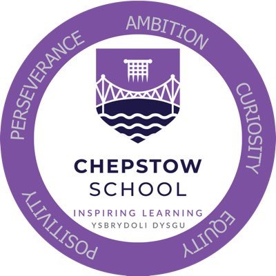 Ambition, Curiosity, Equity, Perseverance & Positivity