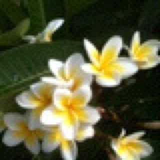 daseinyu's profile picture. Storyteller, Pastor, Part-time Lecturer, Freelance writer.