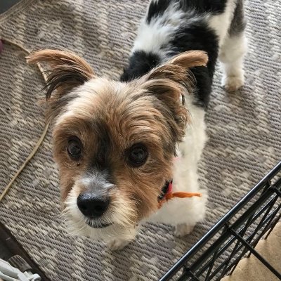 darth_rant's profile picture. 