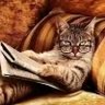 jamesmunenemwa1's profile picture. Agricultural minded,introvert,arsenal fan for life,eager to dare and learn,