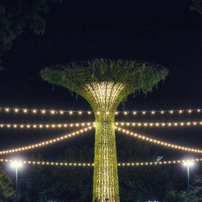 ARANAtreelights's profile picture. Lighting for indoor and outdoor decorations.