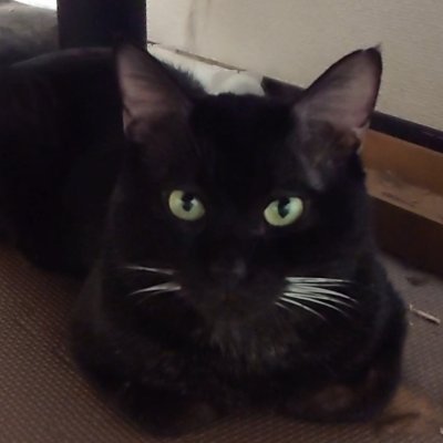 EYLnCeIHvpQPx4B's profile picture. 