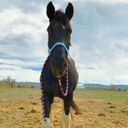 Makayla Evans - @makayla36434 - Twitter