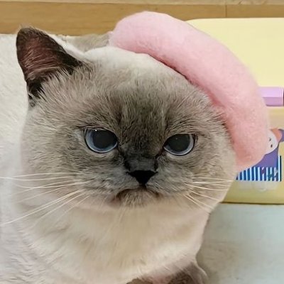 Yun 🍉さんのプロフィール画像