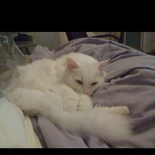 dottydunn's profile picture. 