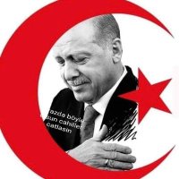 Reisin_Sultani (@sultanireisin) 's Twitter Profile