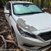 Hyundai Paint Peeling (@hyundaipaintsux) Twitter profile photo Hyundai Paint Peeling (@hyundaipaintsux) Twitter profile photo