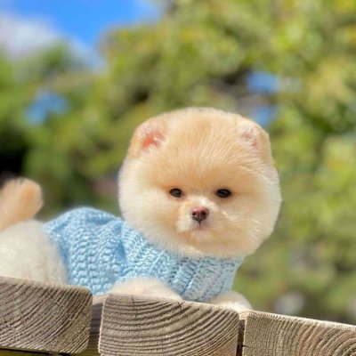 Bobi1Bobii's profile picture. Crypto airdrop hunter! ๐ Earning with @Wallchain, @StandX, @Stable. Join the Web3 grind! ๐ธ #Airdrops