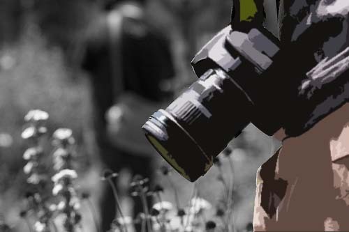 ceciterphoto's profile picture. 