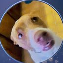 Carter Dean Vance - @CarterDean8492 - Twitter