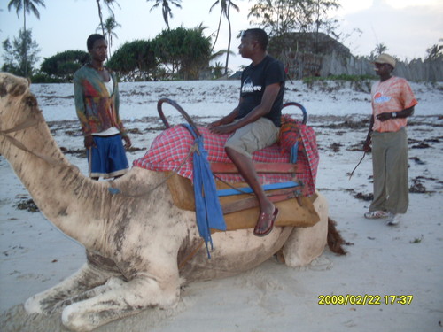 tepsputa's profile picture. 