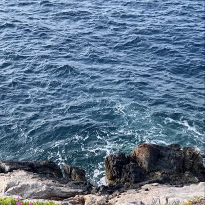 wnscpr's profile picture. 