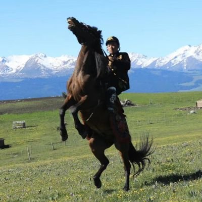 lituanpeng's profile picture. Founder/CEO Pai Software 派软