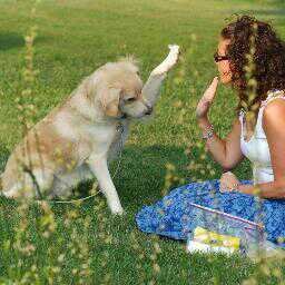 No compres, adoptar es el acto de amor más grande que puedes hacer por ellos. En homenaje a mi pastor Champy QEPD
