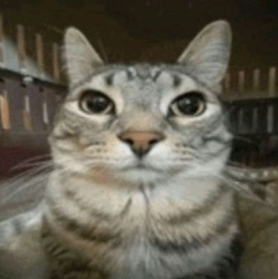 IWIILLDOARSON's profile picture. :3