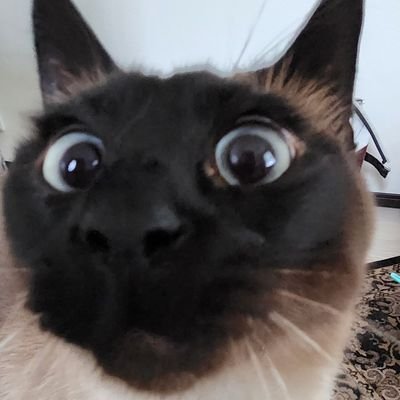 toco0410's profile picture. 💎SHINee💎👑テミン👑
⭐SHINee Sline会 No.1061

独り言&RT
声かけてね❢
Instagramメイン
☆気軽にfollow me