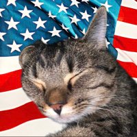 BamaGirl 😏🐘🇺🇸 (@isbellrn) 's Twitter Profile Photo