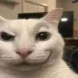 Dix2344's profile picture. Just a random guy who likes art and futas, open to meeting people to chat and make friends.🇲🇽