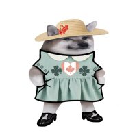 MAPLE Fella (@cdnleprechaun) 's Twitter Profile