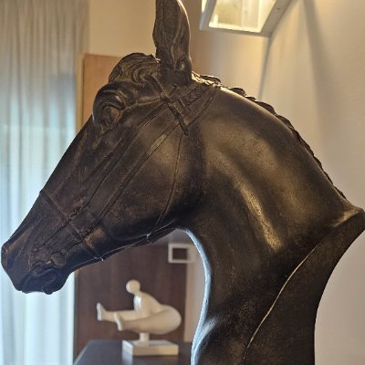 Robert Cavallucci Profile