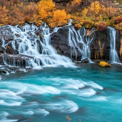 Austinpowers692's profile picture. 