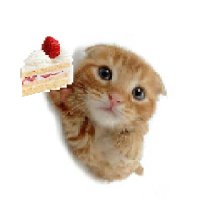 txixydo (@txixydo) 's Twitter Profile Photo