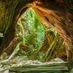 TheWayOfTheWind (@andrewsizo26172) Twitter profile photo