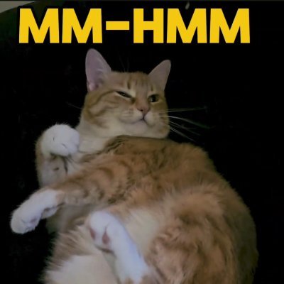 •Welcome to CATPURRZ! A purrfect place for all things feline. We share cat care tips, adorable content, and celebrate our furry friends!!!