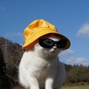 _EOSiR_'s profile picture. Ignore me!