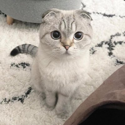 Z_2_0_3_2_T's profile picture. เอาไว้เล่นกิจกรรม