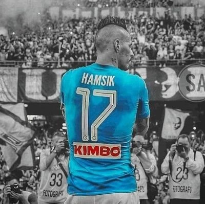 Sasaelhamsik17 Profile