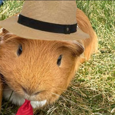 perc__cobain's profile picture. 