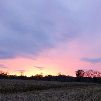 alpha178's profile picture. 