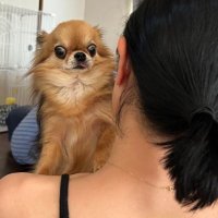 trader miwa@為替と収益不動産 (@link_asseti) 's Twitter Profile