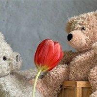 はつえ_お金に愛される秘訣 (@o_jue69739) 's Twitter Profile