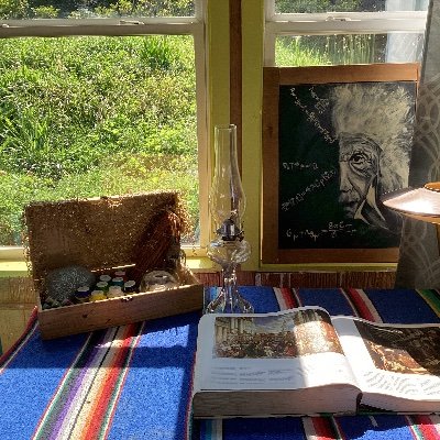 B30485Butterfly's profile picture. 