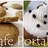 Cafeportakal's profile image