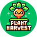 💚 Plant Harvest 🌱 🎮 (@harvestfunx) Twitter profile photo 💚 Plant Harvest 🌱 🎮 (@harvestfunx) Twitter profile photo