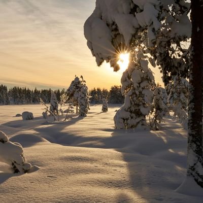 AtikuPikin_'s profile picture. Adventure ✈️