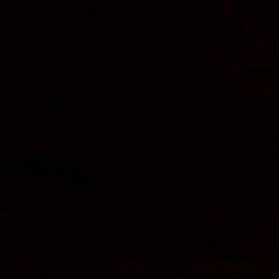 pupy_curlup's profile picture. 