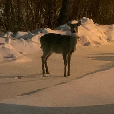 Kiritsugu502's profile picture. 