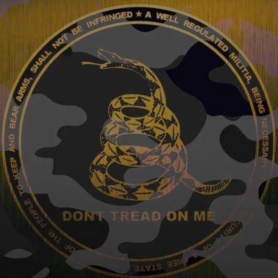 PittRepubArmy's profile picture. We are Conservatives who fight to keep our 1st and 2nd Amendment absolute!