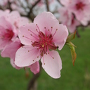 Camping Farkas - @InaManning - Twitter